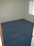 Highlight for Album: Carpets