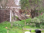 Highlight for Album: Windy day does the old fence in