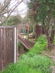Too much wind = goodbye rickety fence