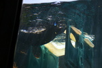 IMG_4797.JPG