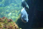 IMG_4798.JPG