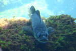 IMG_4799.JPG