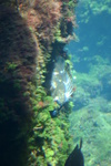 IMG_4800.JPG