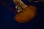 IMG_4832.JPG