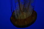 IMG_4834.JPG