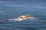 IMG_4842.JPG