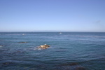 IMG_4843.JPG