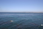 IMG_4844.JPG