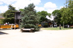 IMG_5785.JPG