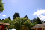 IMG_5794.JPG