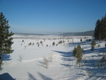 View from Del's living room