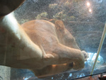 IMG_0088.JPG