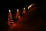 Highlight for Album: Christmas 2004