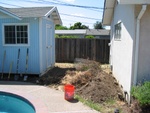 Highlight for Album: Yard work - 2004/05/07